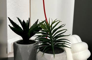 Tarino Apartment - Photo 28