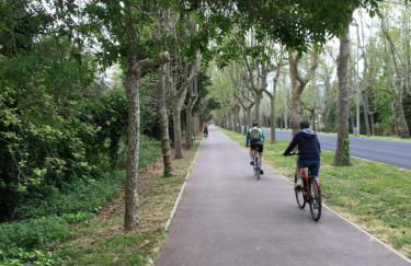 Cosy Lagune - Photo 58