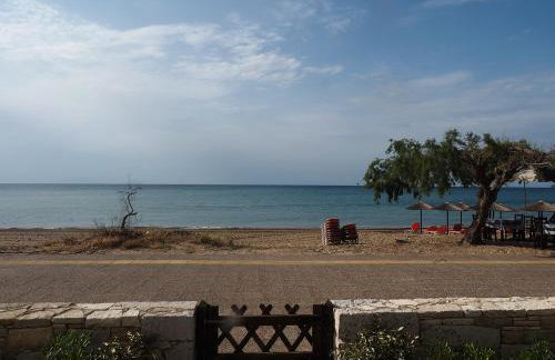 Melissinos Beachfront Apartments - Foto 73