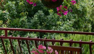 Villa Stupavsky - Photo 5