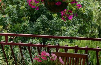 Villa Stupavsky - Photo 5