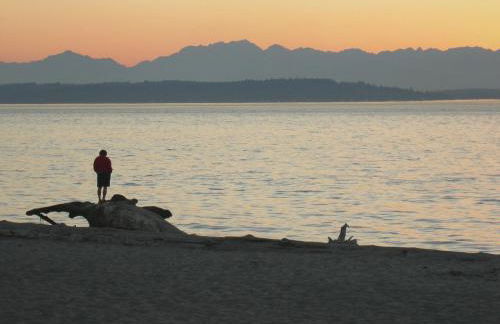 Steps to Alki Beach with Water Views Rooftop deck - Foto 54
