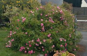 Gîte Anne et Jean - Foto 10