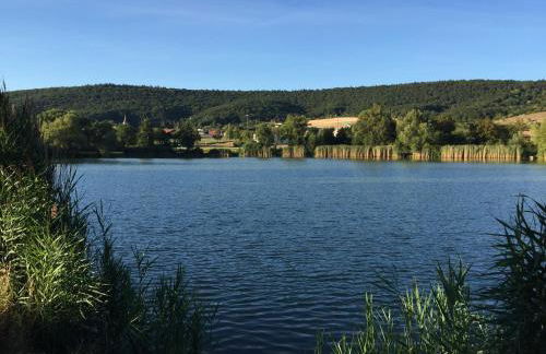 Ferienhaus Hassgautor - Foto 54