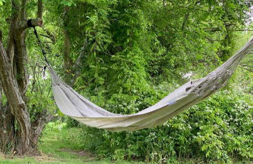 Domaine Des Coutelleries - Foto 60