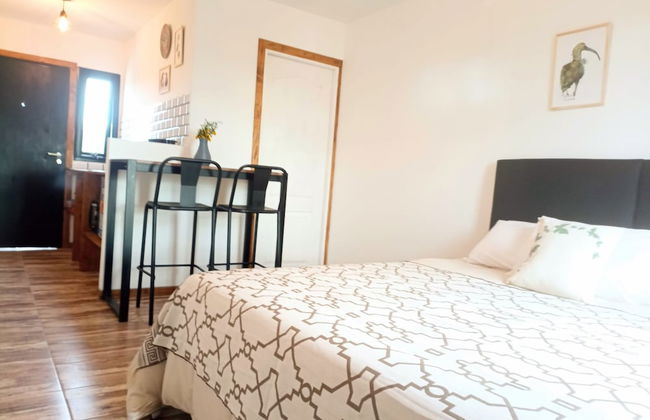 Laguna Studios - Photo 6