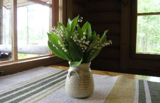 Mökinniemi - Foto 30