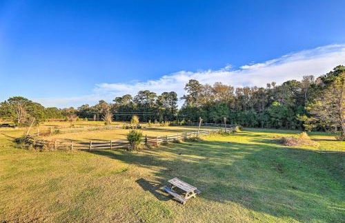 Havelock Country Cabin on Working Horse Farm! - Foto 18