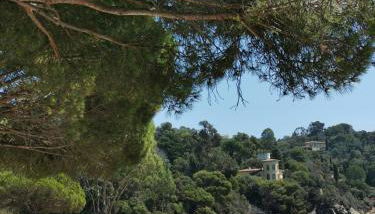 Résidence du Canadel - Foto 5