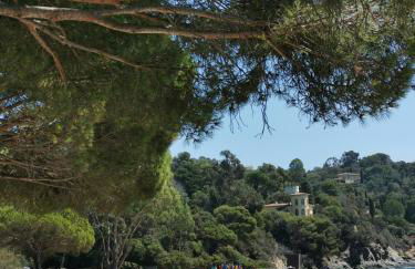 Résidence du Canadel - Foto 5