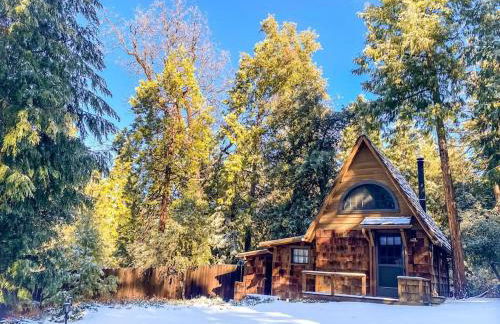 Wildland Zen Den Tiny House Retreat with Fireplace Grill AC Hammock Record Player Musical Instruments Pets OK - Foto 1