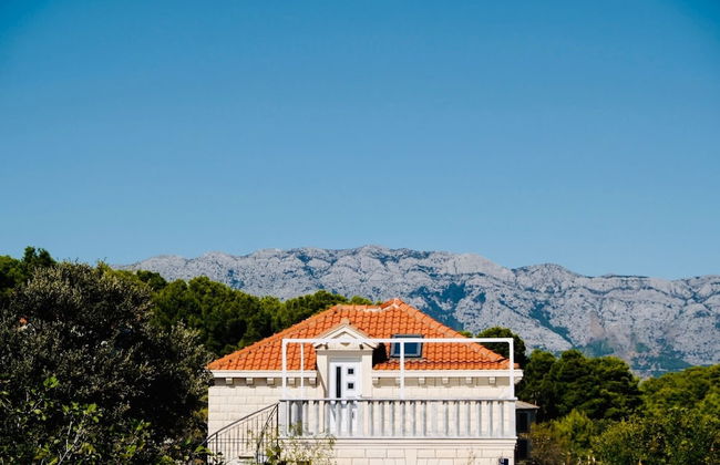 Villa Tonika - Foto 38