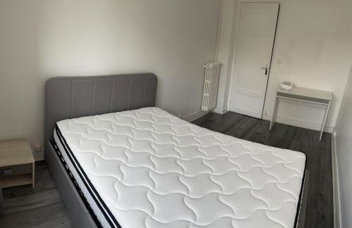 Appartement Spacieux et chic à Clermont-Ferrand - Foto 14