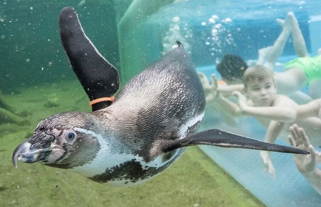 Apartment SL Lounge, Luebben - Foto 20