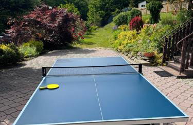 Villa Beskidzka 100 - SAUNA BALIA BASEN Widok na góry i jezioro - Foto 23