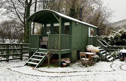 Shepherds hut, Eco, Log burner Hot tub NY moors - Foto 1