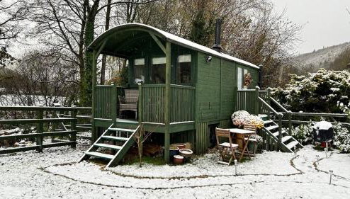 Shepherds hut, Eco, Log burner Hot tub NY moors - Foto 1