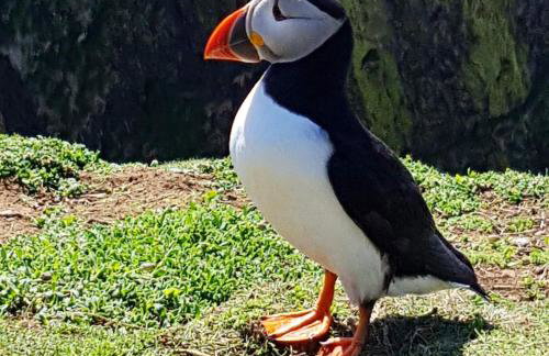 Beautiful Mill House by the sea, Nolton Haven - Foto 64