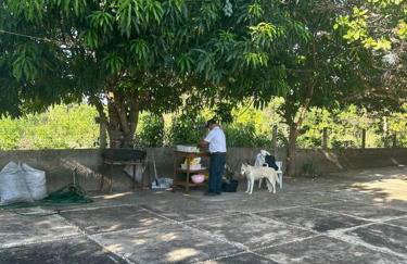 Sítio zona rural de Teresina - Foto 58