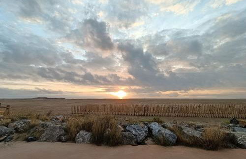 L'hippocampe - Foto 21