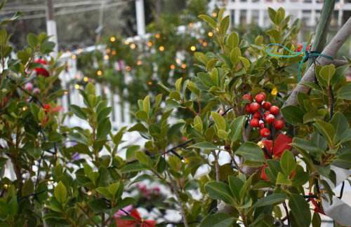 Panorama Γλυκά Νερά - Athens - Foto 23