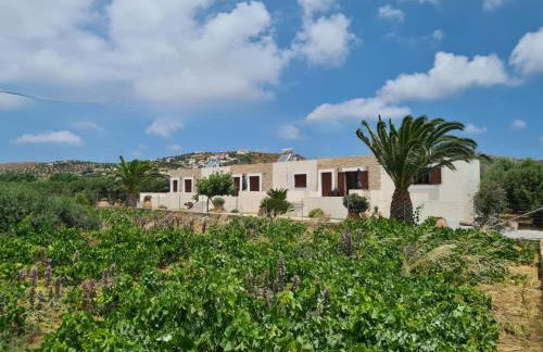 Olivar Suites - Photo 18