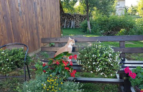 Apartments Sanja - Foto 42