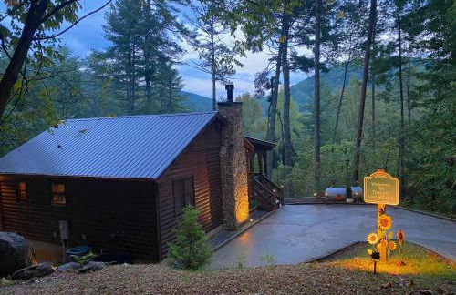 The cozy Lazy Laurel with year-round mountain views, hot tub, fire pit - Foto 1
