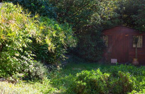 Les Oiseaux - Foto 10