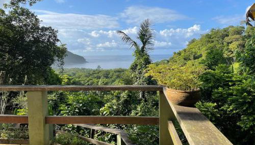 Vista espetacular, no meio da mata, com conforto - Foto 4