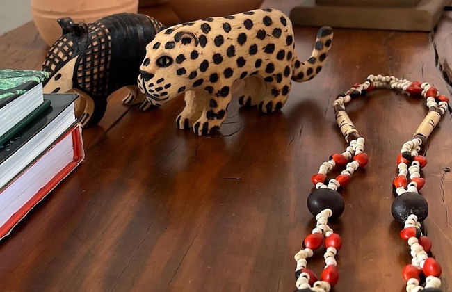 Alma Iguassu Vila - Foto 44