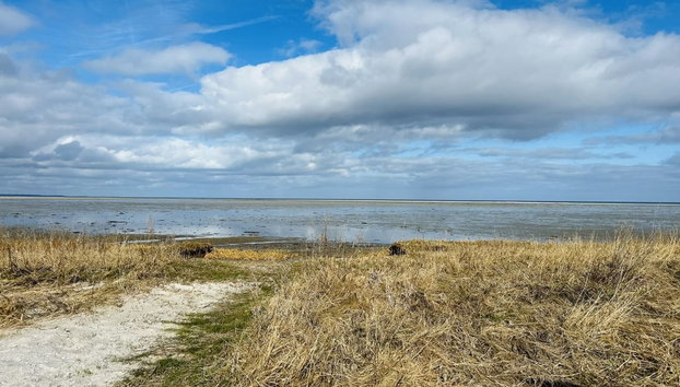 "Swale" - 500m from the sea - Foto 3, Outdoor