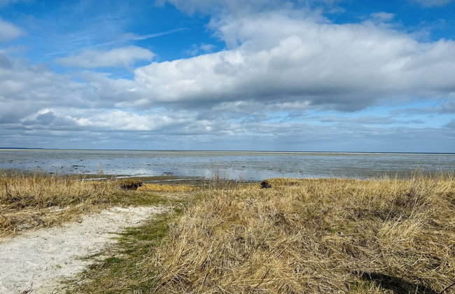 "Swale" - 500m from the sea - Foto 3
