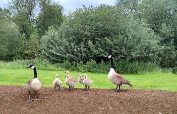 Billing Aquadrome ,3 bedrooms caravan - Photo 65