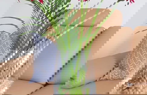 Apartment on the Elbe Ferry - Apartment for 2 - 3 People - Photo 13