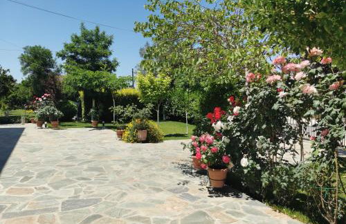 Kardiakafti Village - Foto 36