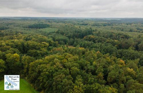 Wald und See Dargun 16B - Foto 17