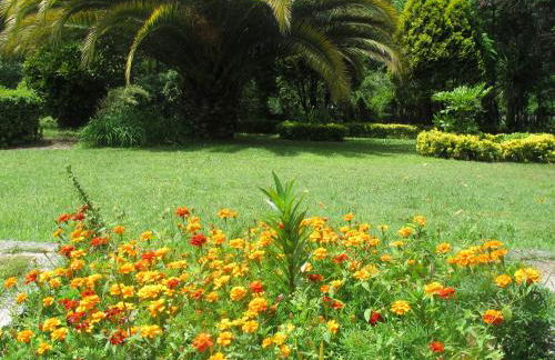 No Meio da Natureza - Turismo No Espaco Rural - Foto 26