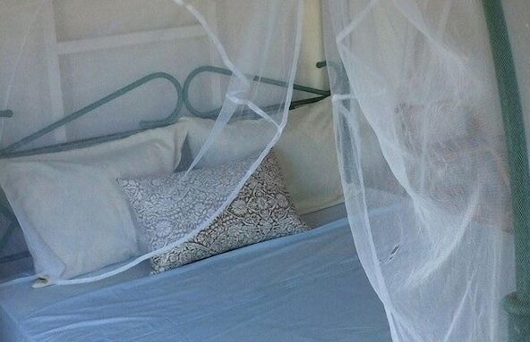 Galley Bay Cottages - Foto 16