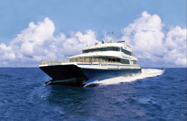 Ferry to Provincetown or Salem - Foto 1