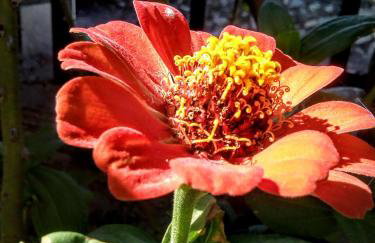 Tanias Apartment - Foto 22