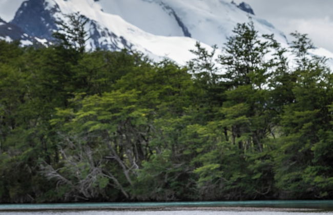 Laguna Condor - Refugio de Montaña - Foto 26