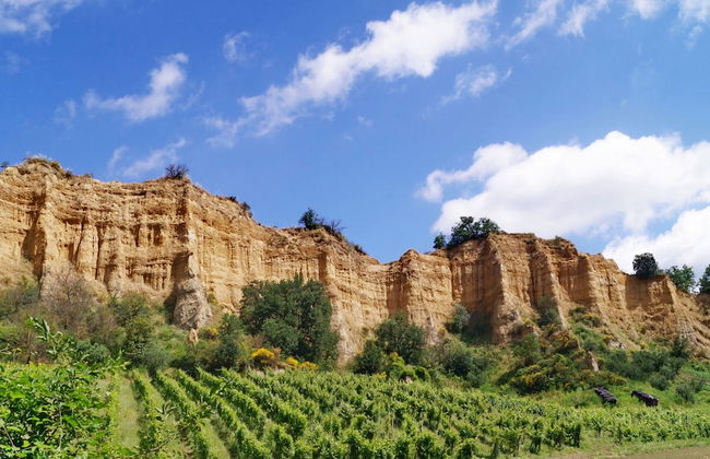 Palagio 16 in Chianti With Shared Pool - Photo 13