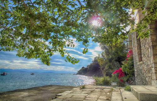 Myrsini's Studios in Chorto Pelion - Foto 15