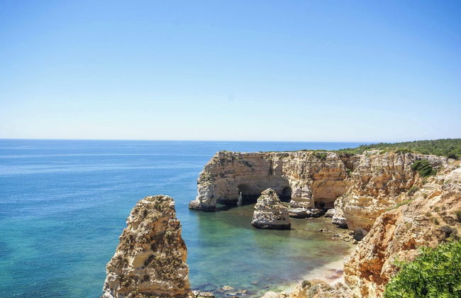 Casa Pluma - Photo 13