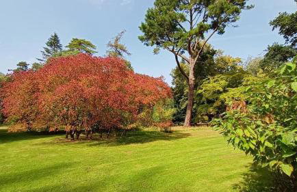 Stunning modern apartment in the Cotswolds sleeps six - Foto 56