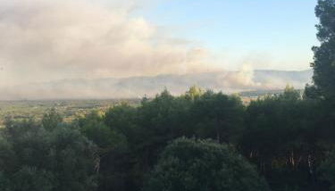 Les Lucioles - Photo 4