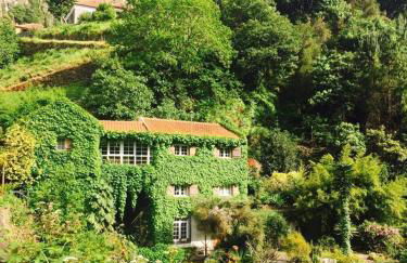 Moinho do Comandante - Foto 1