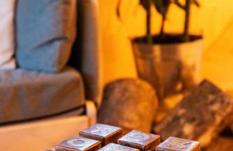 L'Oasis des Coccinelles - Foto 60