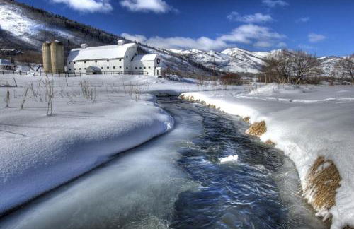 Park'S Edge 844 Townhouse - Foto 75